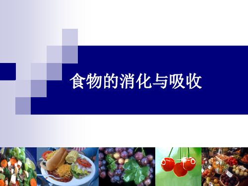 食物的消化与吸收 PPT课件