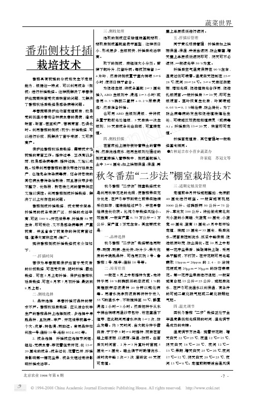 番茄侧枝扦插栽培技术