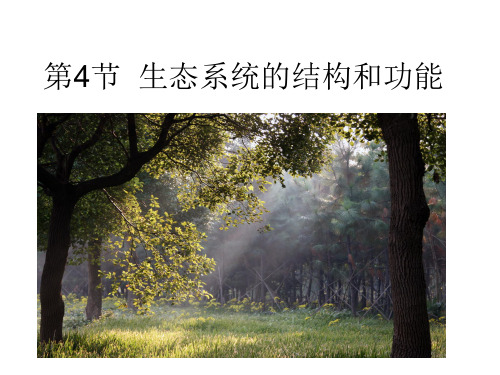 九年级下科学《生态系统的结构和功能》PPT精美课件浙教版3
