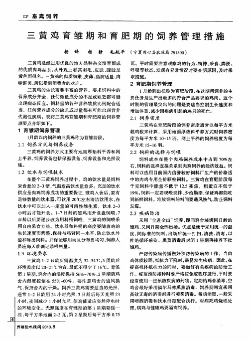 三黄鸡育雏期和育肥期的饲养管理措施