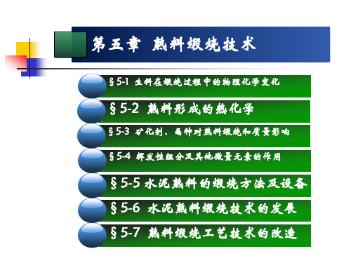 熟料煅烧技术资料