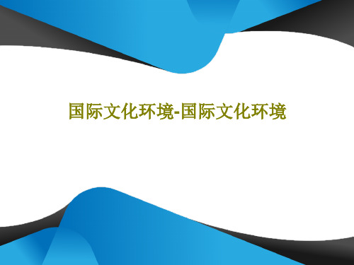 国际文化环境-国际文化环境共60页PPT