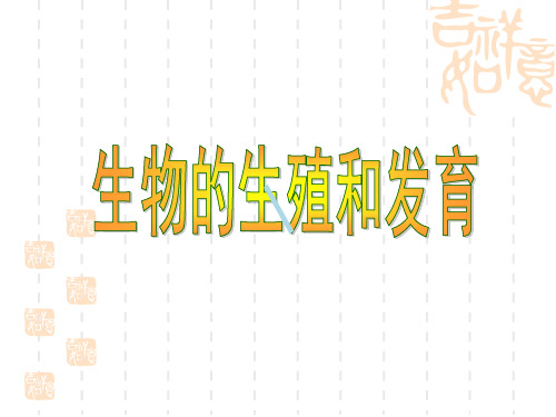 苏教版生物八上复习资料课件