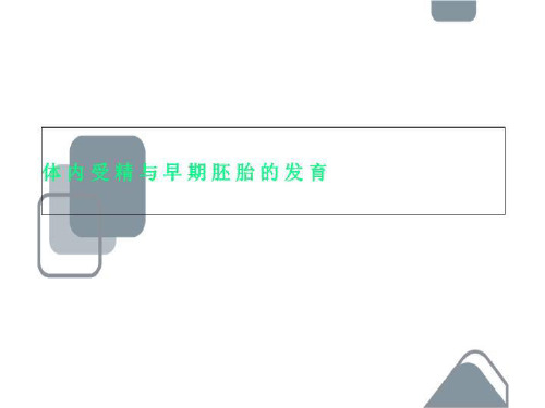 体内受精与早期胚胎的发育