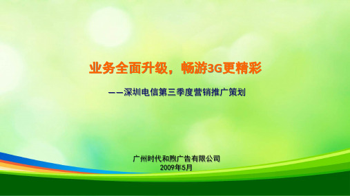 深圳电信营销推广策划(ppt 20页)