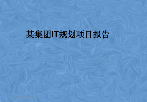 某集团IT规划项目报告