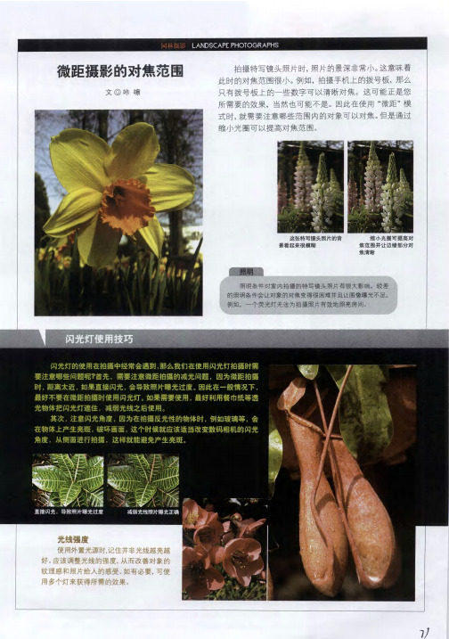 微距摄影的对焦范围
