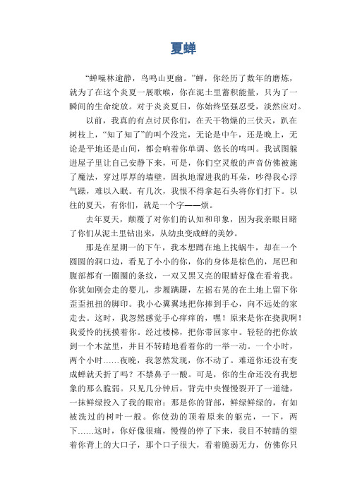 初中生状物作文：夏蝉