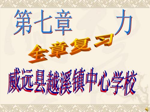 八年级物理下册教科版第七章力复习 (共25张PPT)