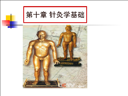针灸学(第七版)教材
