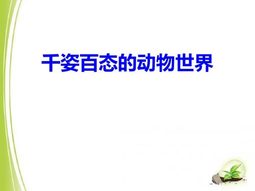 千姿百态的动物世界 PPT优秀课件