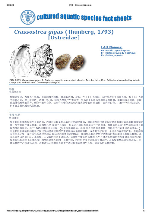 长巨牡蛎