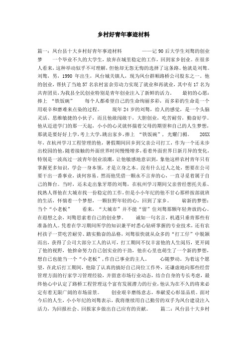 乡村好青年事迹材料