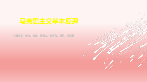马克思主义基本原理PPT课件