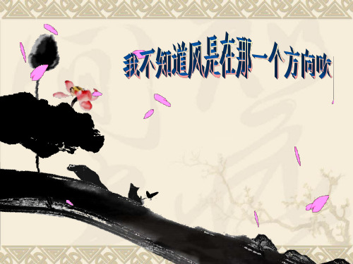 我不知道风是在哪一个方向吹ppt