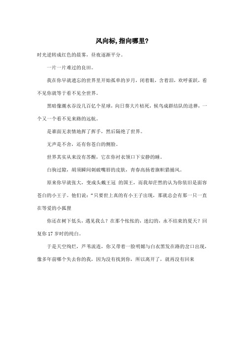 风向标,指向哪里-_初中初二作文900字