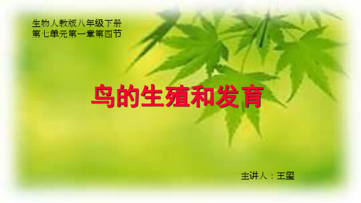 第四节鸟的生殖和发育