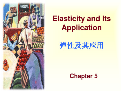 武汉大学微观经济学教学用课件Chap_05