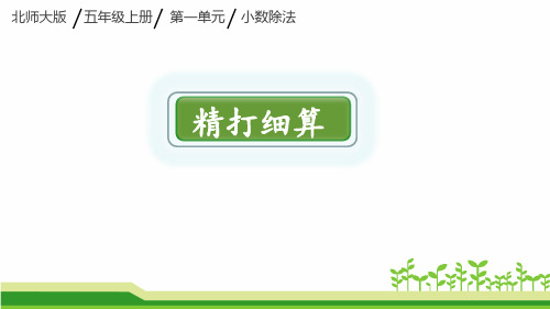 北师大版五年级上册数学精打细算课件