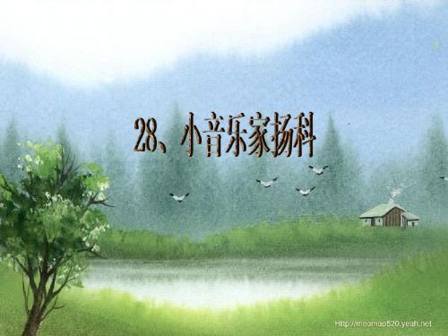 小音乐家杨科