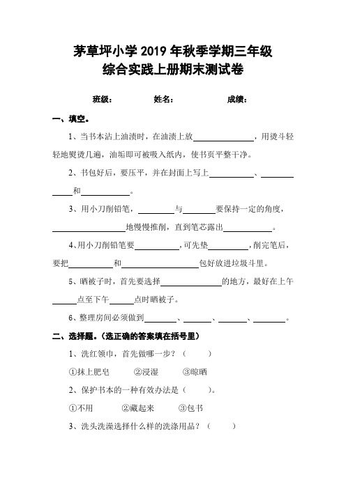 三年级综合实践上册期末测试卷