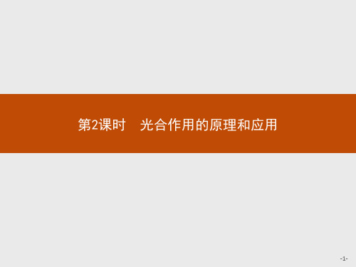 光合作用的原理和应用课件【新教材】人教版高中生物必修一