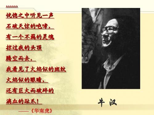 3《我的第一本书》课件