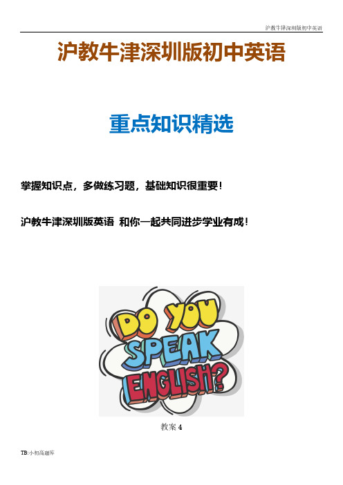 沪教牛津深圳版初中英语九年级下册unit3 教案4