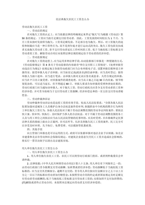 民法典拖欠农民工工资怎么办