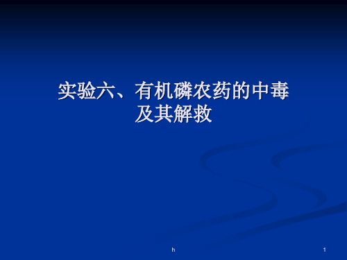 药学实验有机磷中毒