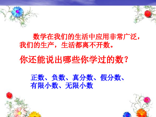 人教版小学数学六年级总复习--数与代数优秀课件