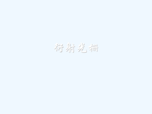 衍射光栅实验.ppt