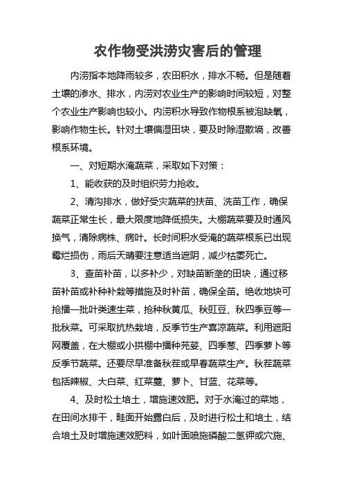 蔬菜作物受洪涝灾害后的管理