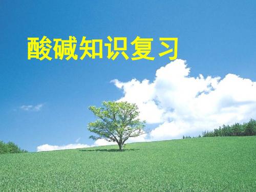 《常见的酸和碱》课件1(14页)(鲁教版九年级上)
