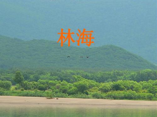 林海PPT课件