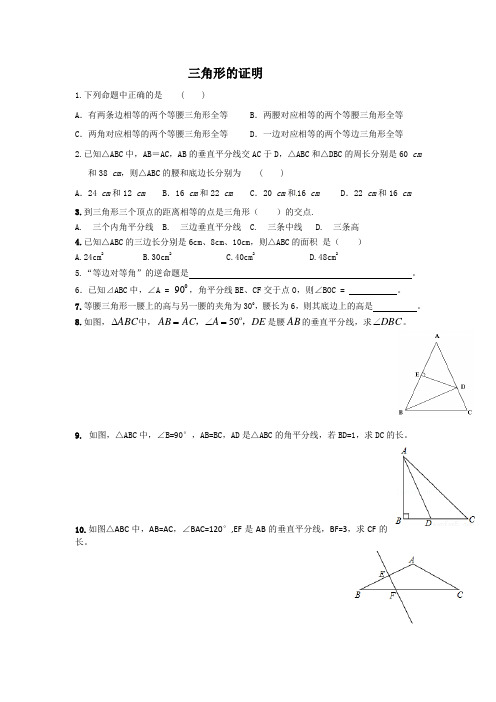 三角形的证明试题