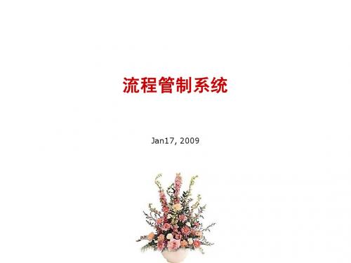 国际4A流程管制系统