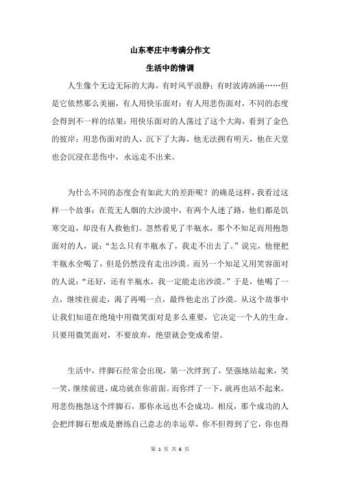 山东枣庄中考满分作文