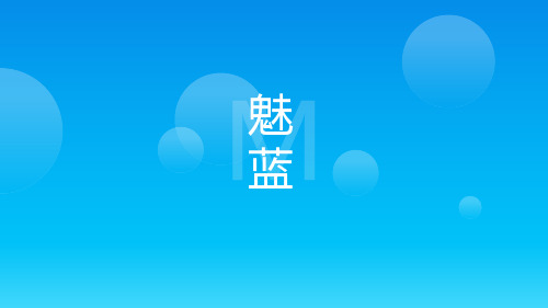 日化公司蓝月亮洗衣液PPT