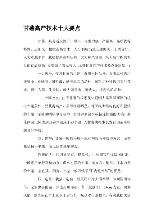 甘薯高产技术十大要点
