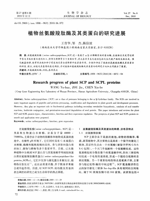 植物丝氨酸羧肽酶及其类蛋白的研究进展