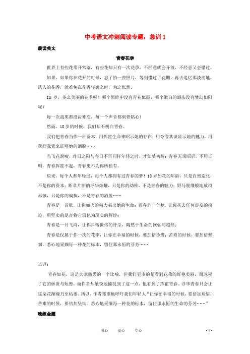 【金榜】2020中考语文冲刺阅读专题 急训1