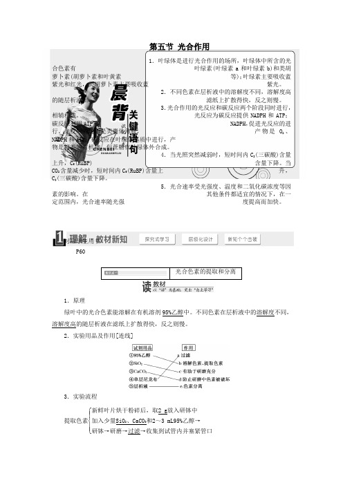 高中生物第三章第五节光合作用教学案浙科版必修1