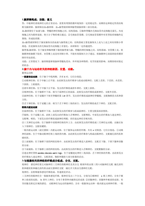 神经解剖