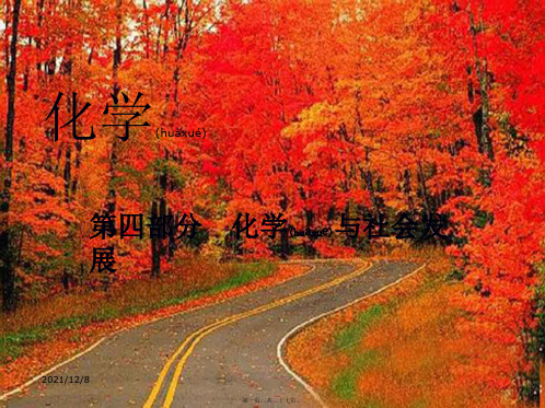 中考化学冲刺复习 第四部分 化学与社会发展课件