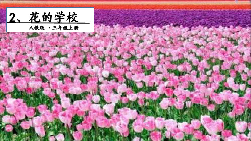 部编版ppt-《花的学校》精品课件2
