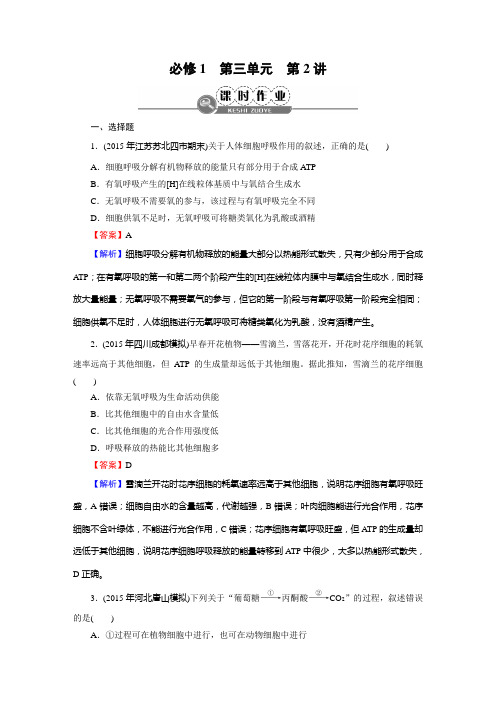 人教版细胞呼吸单元测试