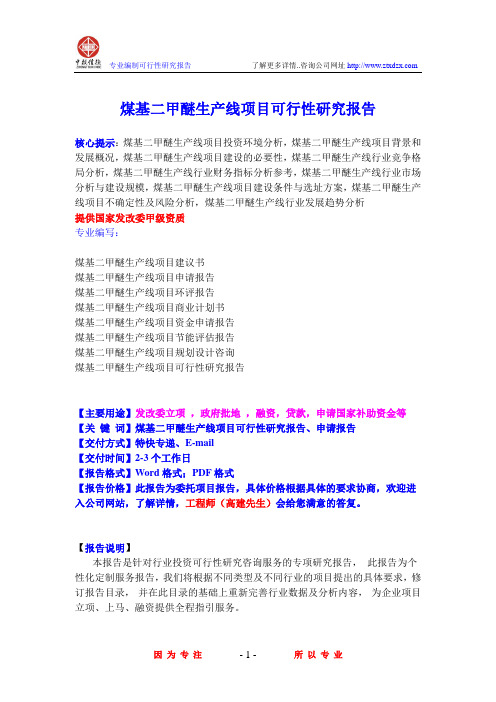 煤基二甲醚生产线项目可行性研究报告