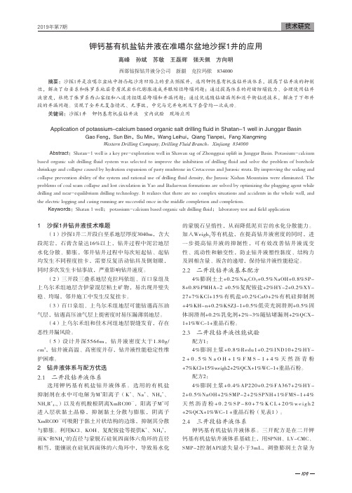 钾钙基有机盐钻井液在准噶尔盆地沙探1井的应用