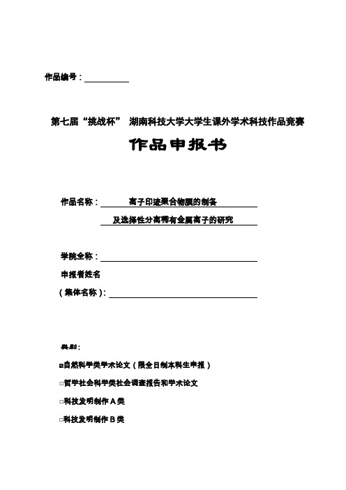 盲审大挑申报书